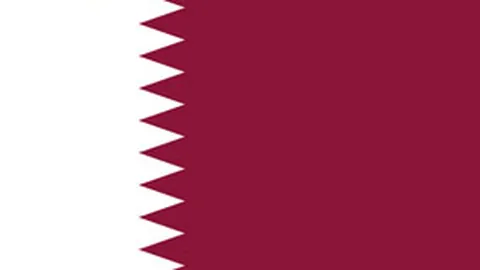 墨西哥公开赛网球赛：沙波瓦洛夫成功挺进半决赛